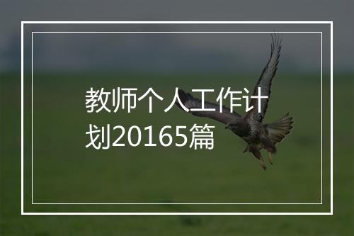 教师个人工作计划20165篇