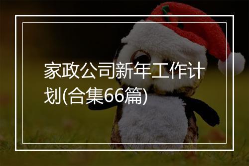 家政公司新年工作计划(合集66篇)