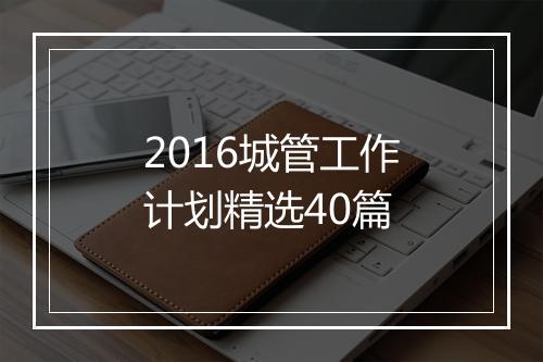 2016城管工作计划精选40篇