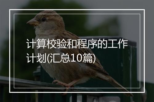 计算校验和程序的工作计划(汇总10篇)