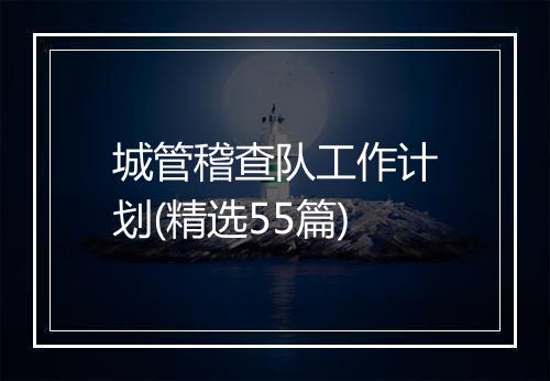 城管稽查队工作计划(精选55篇)