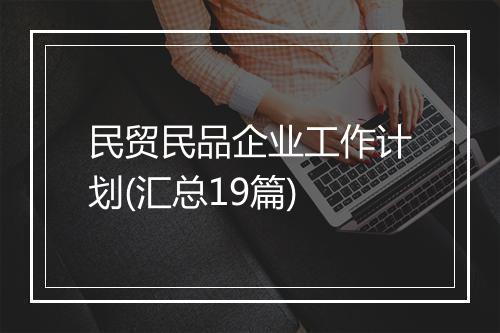 民贸民品企业工作计划(汇总19篇)