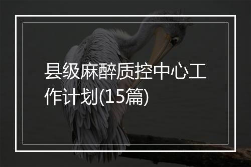 县级麻醉质控中心工作计划(15篇)