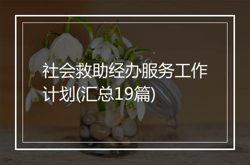 社会救助经办服务工作计划(汇总19篇)