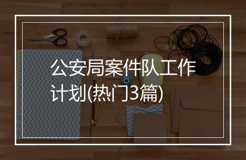 公安局案件队工作计划(热门3篇)