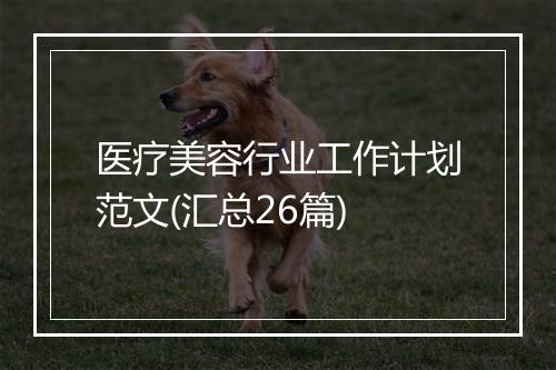 医疗美容行业工作计划范文(汇总26篇)