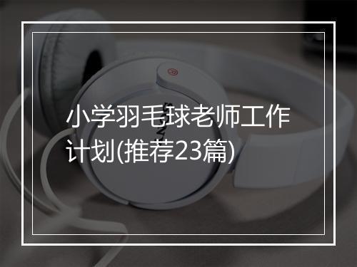 小学羽毛球老师工作计划(推荐23篇)