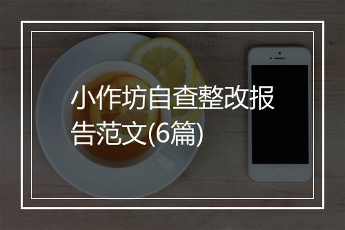 小作坊自查整改报告范文(6篇)