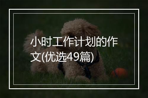 小时工作计划的作文(优选49篇)