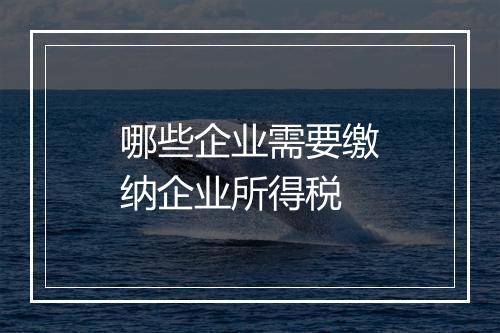 哪些企业需要缴纳企业所得税