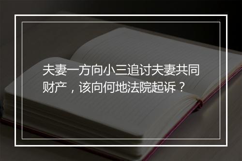夫妻一方向小三追讨夫妻共同财产，该向何地法院起诉？