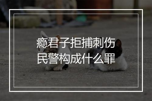 瘾君子拒捕刺伤民警构成什么罪