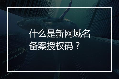 什么是新网域名备案授权码？