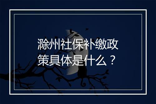 滁州社保补缴政策具体是什么？