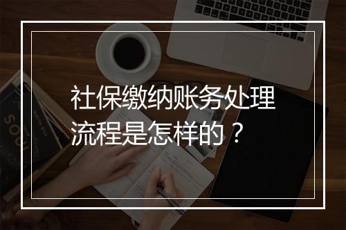 社保缴纳账务处理流程是怎样的？