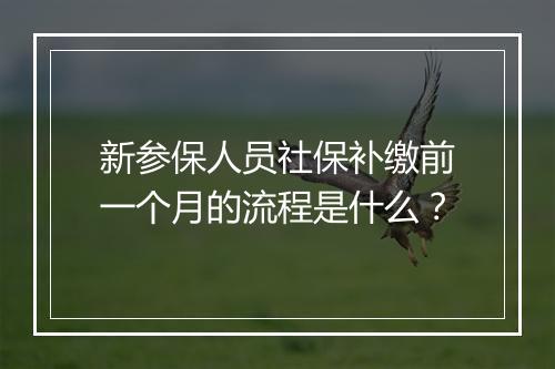 新参保人员社保补缴前一个月的流程是什么？