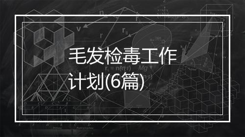 毛发检毒工作计划(6篇)