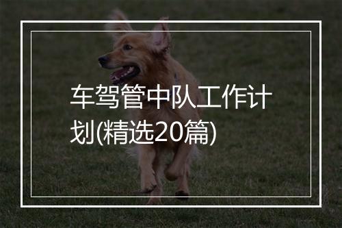 车驾管中队工作计划(精选20篇)