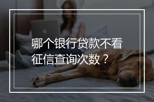 哪个银行贷款不看征信查询次数？