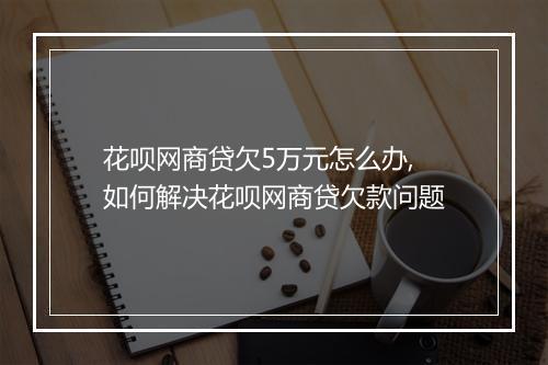 花呗网商贷欠5万元怎么办,如何解决花呗网商贷欠款问题