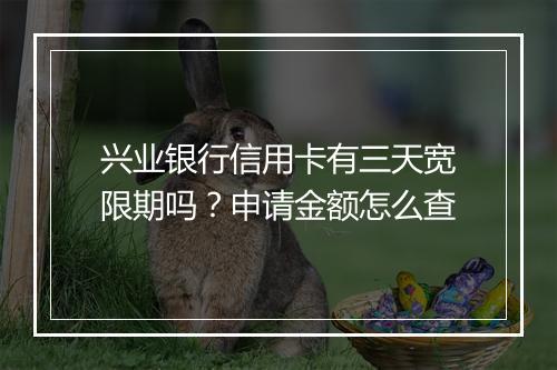兴业银行信用卡有三天宽限期吗？申请金额怎么查