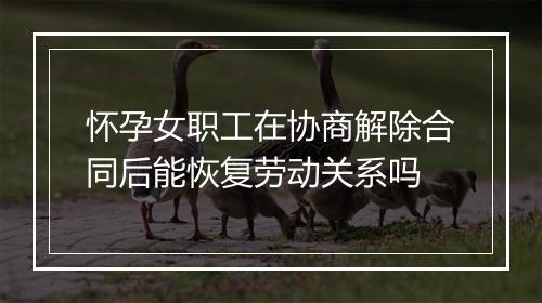 怀孕女职工在协商解除合同后能恢复劳动关系吗