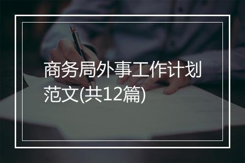 商务局外事工作计划范文(共12篇)