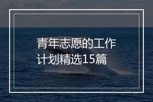 青年志愿的工作计划精选15篇