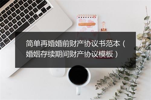 简单再婚婚前财产协议书范本（婚姻存续期间财产协议模板）