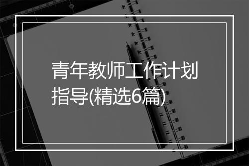 青年教师工作计划指导(精选6篇)