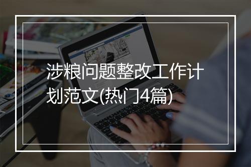 涉粮问题整改工作计划范文(热门4篇)