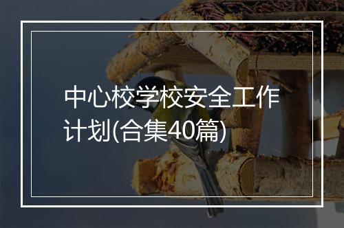 中心校学校安全工作计划(合集40篇)