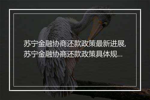 苏宁金融协商还款政策最新进展,苏宁金融协商还款政策具体规定
