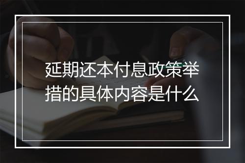 延期还本付息政策举措的具体内容是什么