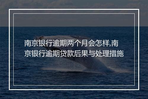 南京银行逾期两个月会怎样,南京银行逾期贷款后果与处理措施