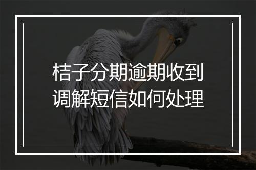 桔子分期逾期收到调解短信如何处理