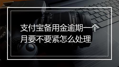 支付宝备用金逾期一个月要不要紧怎么处理