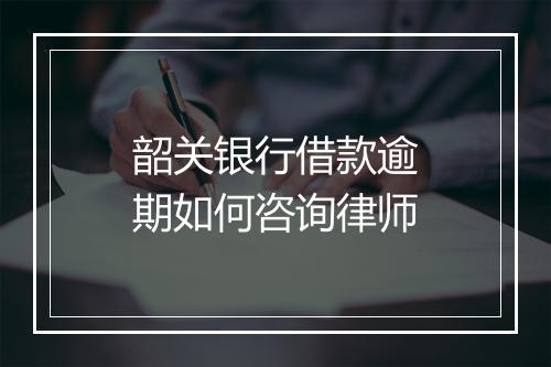 韶关银行借款逾期如何咨询律师
