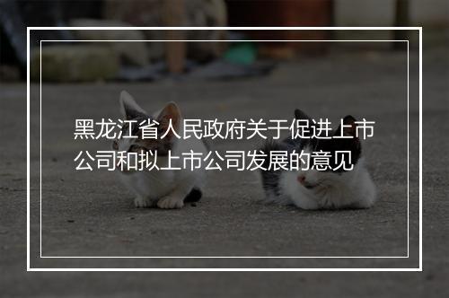 黑龙江省人民政府关于促进上市公司和拟上市公司发展的意见