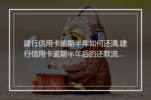 建行信用卡逾期半年如何还清,建行信用卡逾期半年后的还款流程