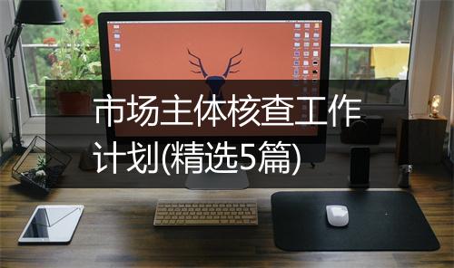 市场主体核查工作计划(精选5篇)