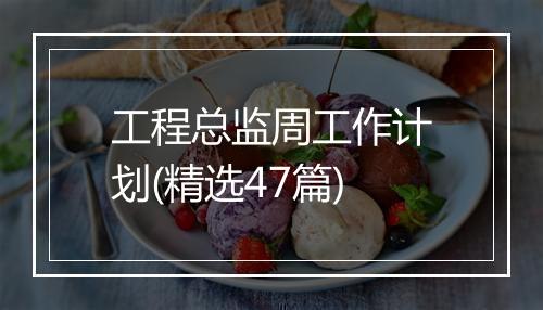 工程总监周工作计划(精选47篇)