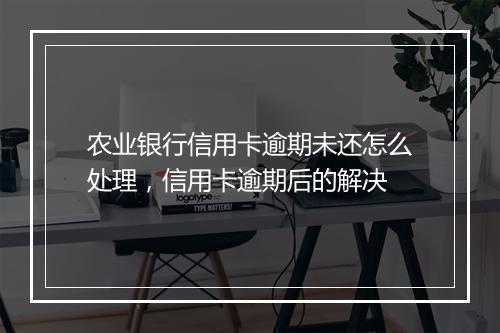 农业银行信用卡逾期未还怎么处理，信用卡逾期后的解决