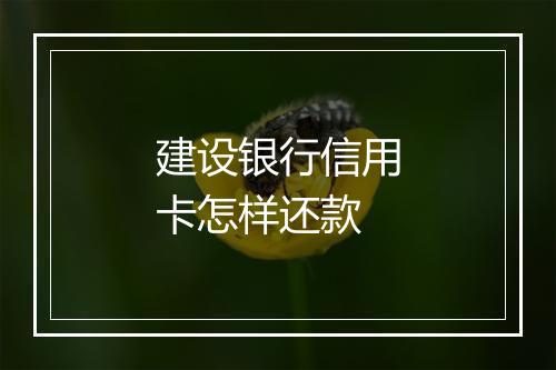 建设银行信用卡怎样还款