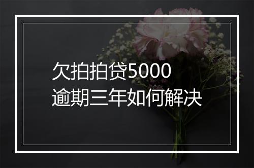欠拍拍贷5000逾期三年如何解决
