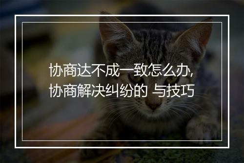 协商达不成一致怎么办,协商解决纠纷的 与技巧