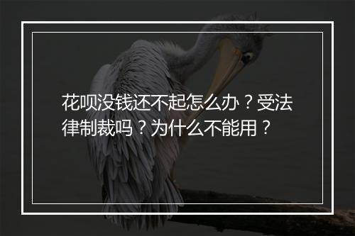 花呗没钱还不起怎么办？受法律制裁吗？为什么不能用？