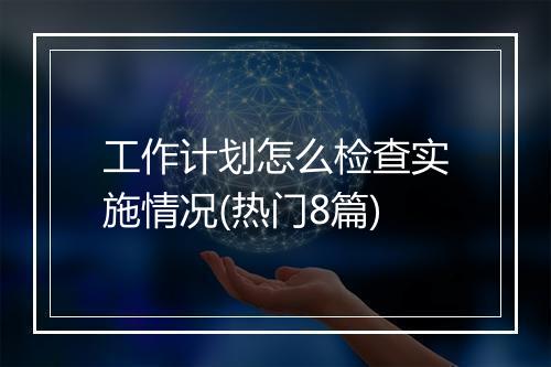 工作计划怎么检查实施情况(热门8篇)