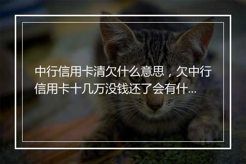中行信用卡清欠什么意思，欠中行信用卡十几万没钱还了会有什么后果