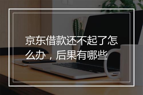京东借款还不起了怎么办，后果有哪些